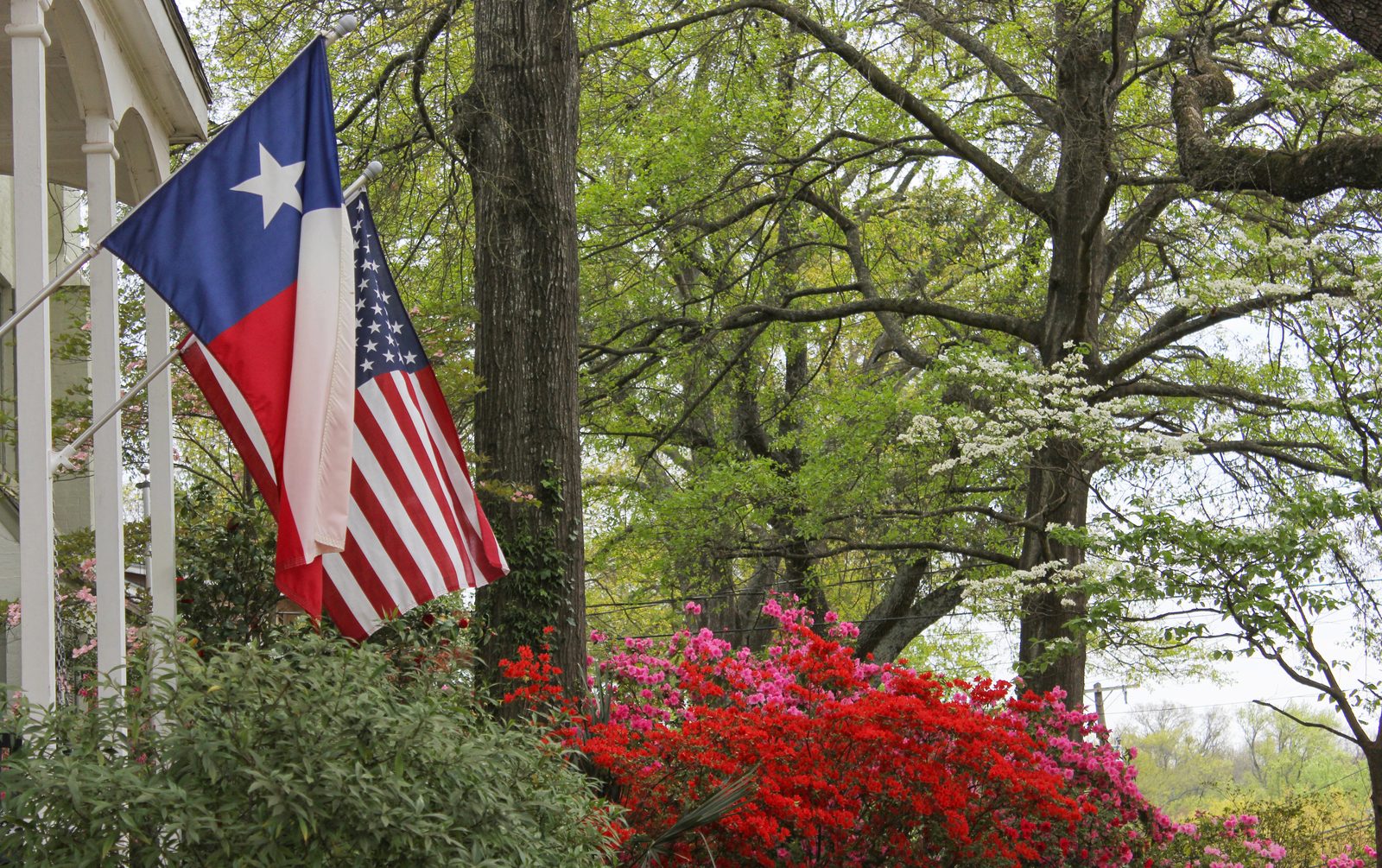 A Texas family home — the homestead sits at the center of elder law and Medicaid planning.